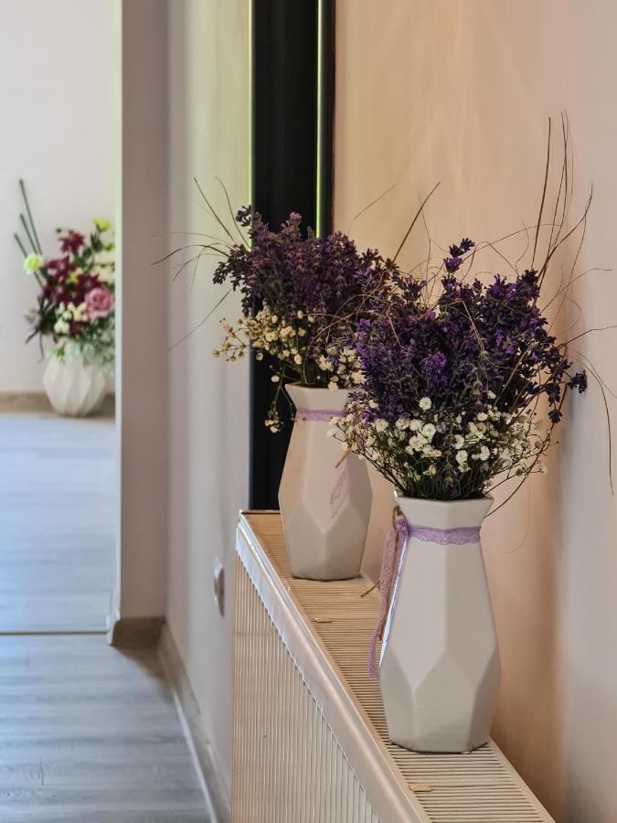 Pensiunea Lavanda, Piatra-Neamt Piatra Neamţ Exterior foto